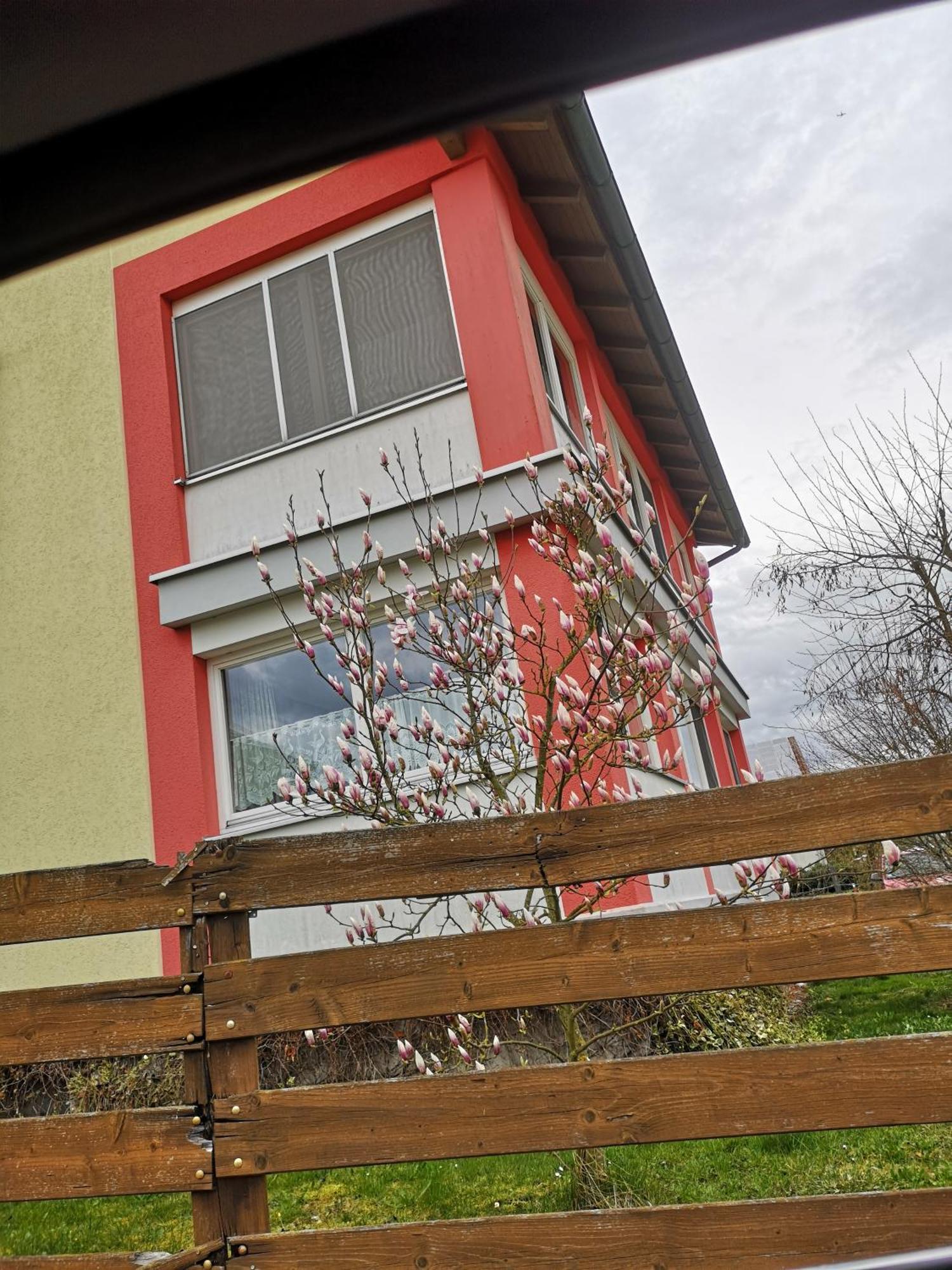 Vermietung Gisl Wiesent ภายนอก รูปภาพ